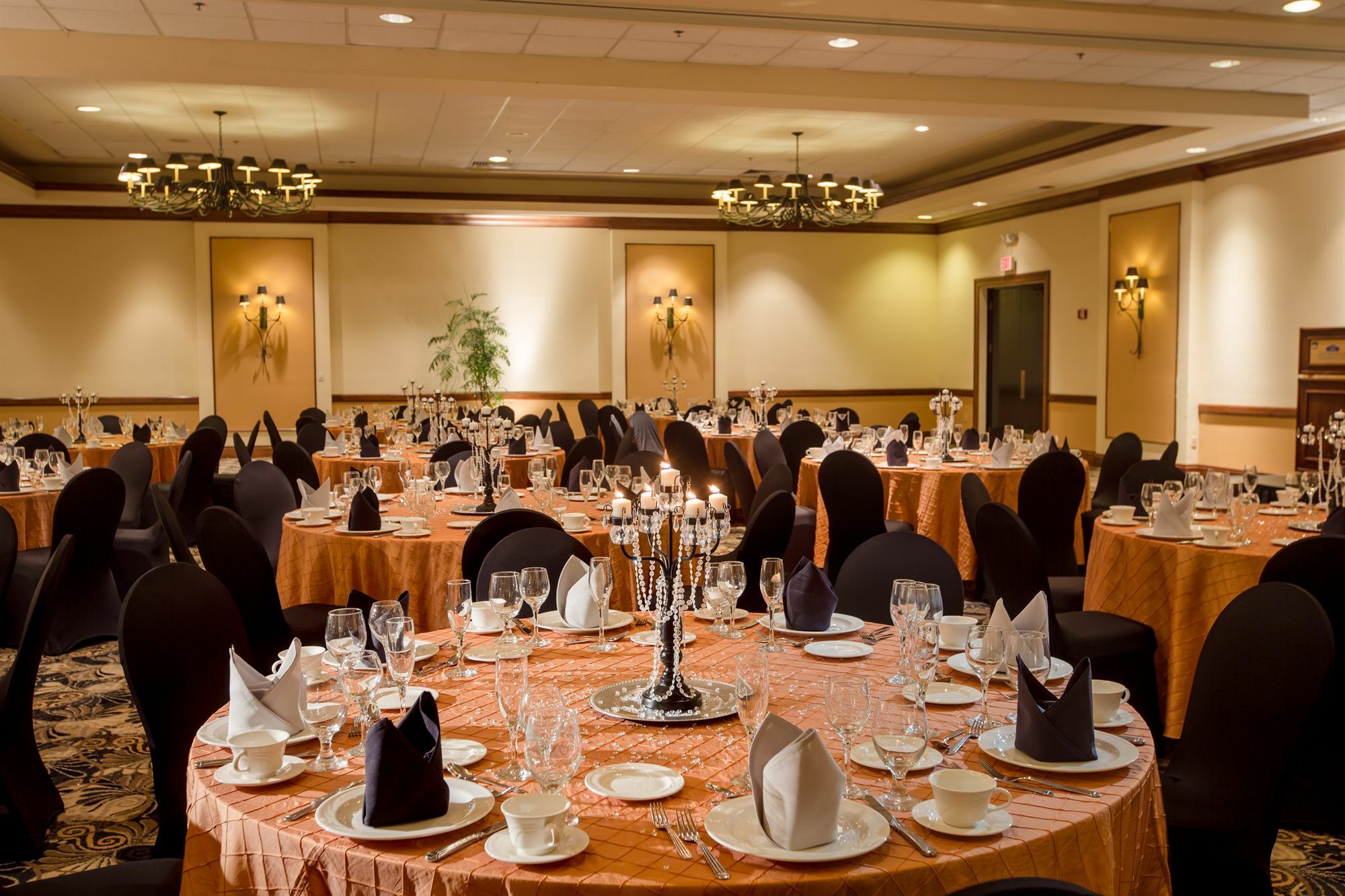 Best Western Gateway Grand Gainesville Kültér fotó