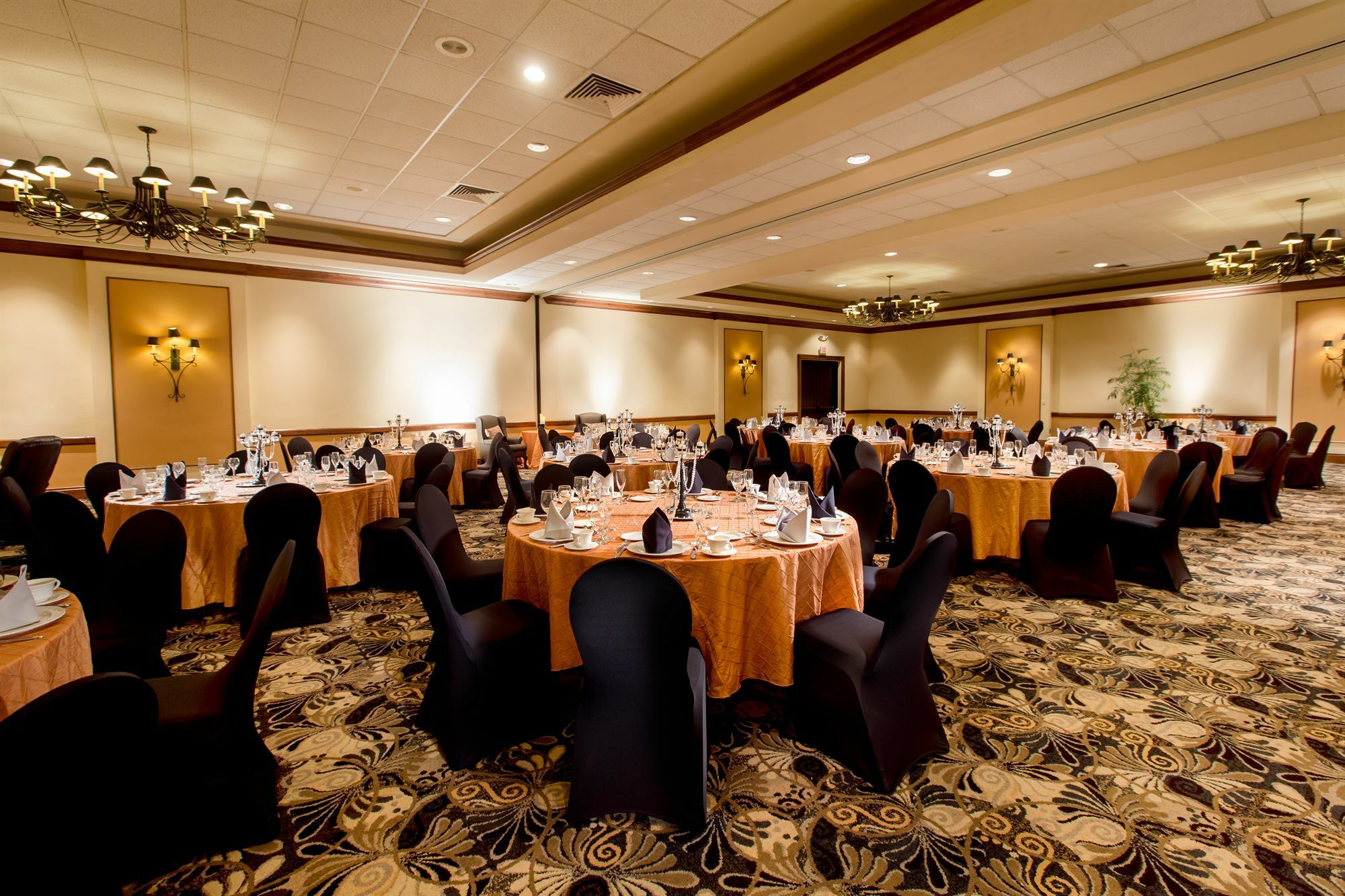 Best Western Gateway Grand Gainesville Kültér fotó